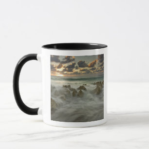Tasse Mer des Caraïbes, îles Caïmanes.  Foules écras
