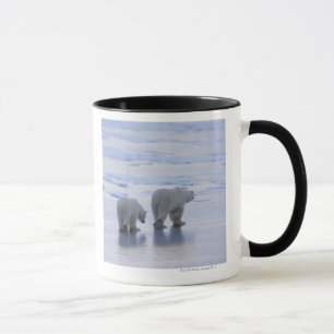 Tasse Mère et CUB d'ours blanc