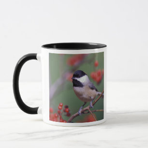 Tasse Mésange de Caroline