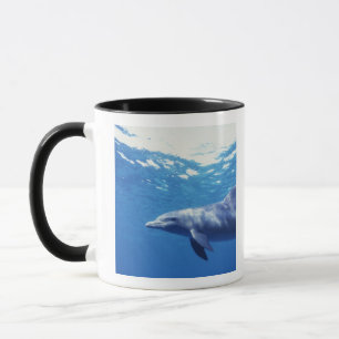 Tasse Mexique, Cozumel. Dauphin à gros nez, Tursiops 3