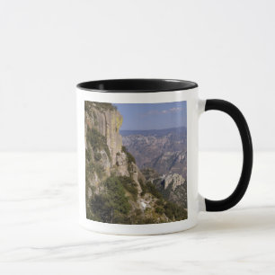 Tasse Mexique, État de Chihuahua, Copper Canyon. CECI 2
