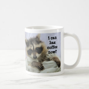 Tasse mignonne de raton laveur de bébé, je peux
