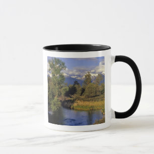 Tasse Mission Creek traverse le National Bison