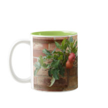 TASSE MIT ÄPFELN, DIE AUF DEM BRICK WALL ESPALIER 