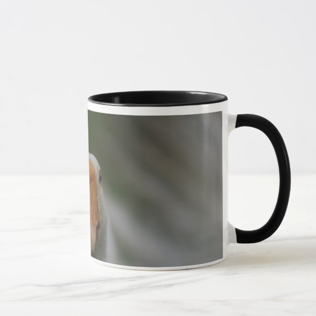 Tasse mit Gänsen… (Rechts)