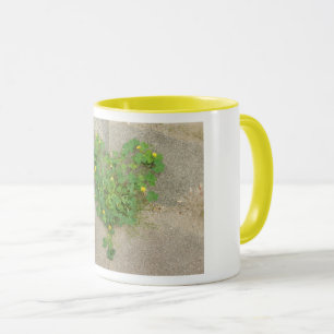 Tasse mit originellem Foto aus herzenförmigen Klee