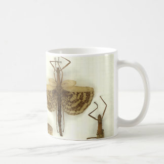 Tasse mit Stockinsekten