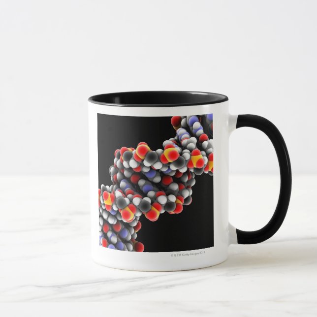 Tasse Molécule d'ADN. Modèle moléculaire de l'ADN (Droite)