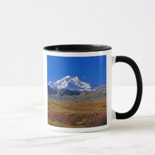 Tasse Mont McKinley Parc national de Denali, Alaska.