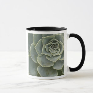 Tasse Motif de cactus