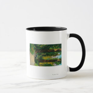 Tasse Motorisation à travers la forêt géante, séquoias