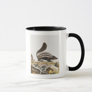 Tasse Mouffette, de "Histoire Naturelle" par