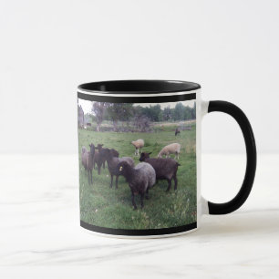 Tasse Moutons noirs