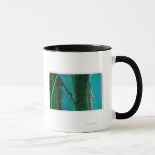 Tasse Mt. Capot et pont d'un état à un autre en saumon