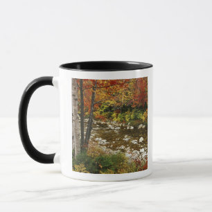 Tasse N.A., États-Unis, New Hampshire, White Mountains,