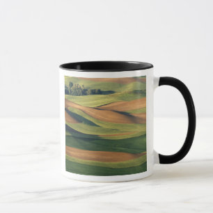 Tasse N.A., États-Unis, Washington, comté de Whitman.