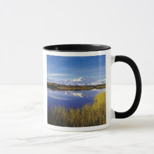 Tasse NA, États-Unis, Alaska, Parc national Denali Mt. M