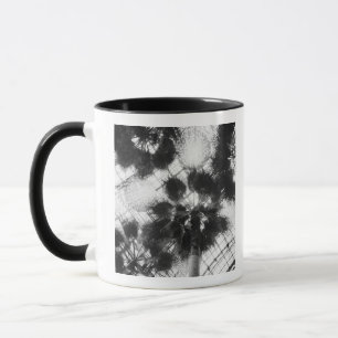 Tasse NA, États-Unis, New York, New York City. Palmiers