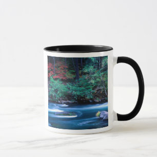 Tasse NA, États-Unis, Oregon, Feuillage d'automne sur No