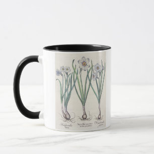Tasse Narcisses : purpureus de medio du maximus