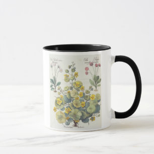 Tasse Nasturces et marguerites : 1.Nasturtium Indicum ;