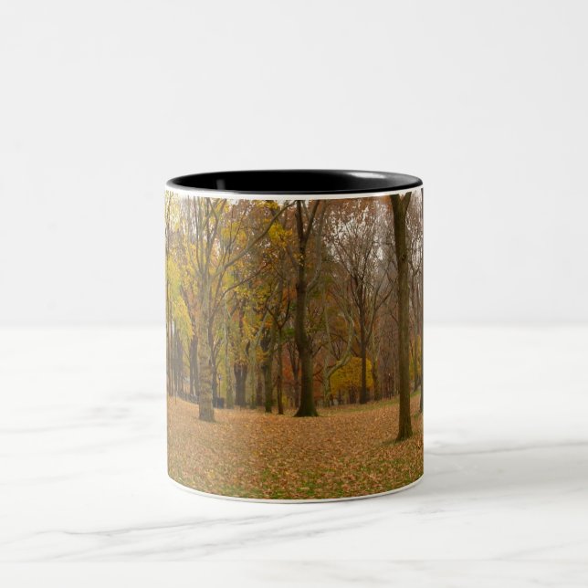 Tasse New- Yorkschalen-Central Park New York (Mittel)