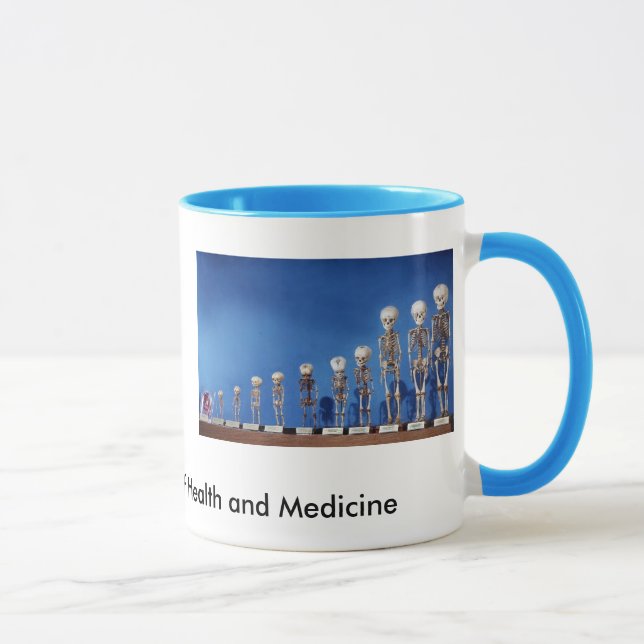 Tasse NMHM_Fetal.Skeletons, heart2, la Muse nationale… (Droite)