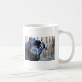 Tasse noire curieuse de carlin