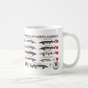 Tasse nord-américaine de RedList d'esturgeon