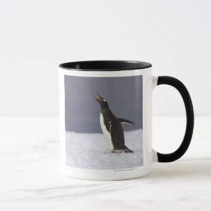 Tasse Oiseau adulte de pingouin de Gentoo (Pygoscelis