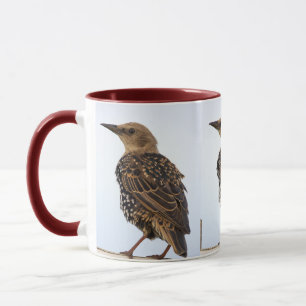 Tasse Oiseau Étourneau Sansonnet Européen