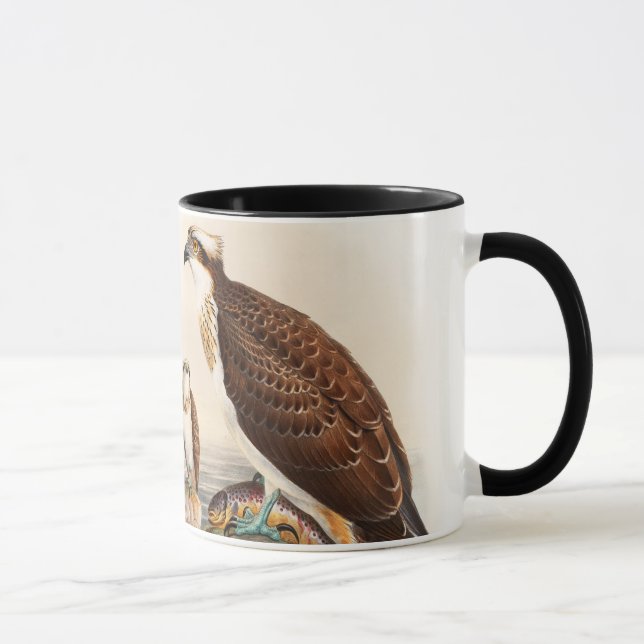 Tasse Oiseaux de John Gould de faucon de mer de (Droite)