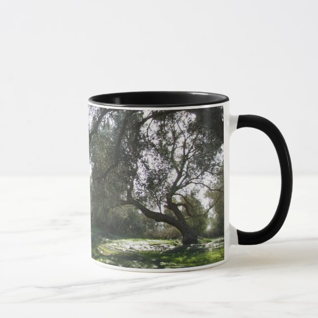 Tasse Olivenbäume (Rechts)