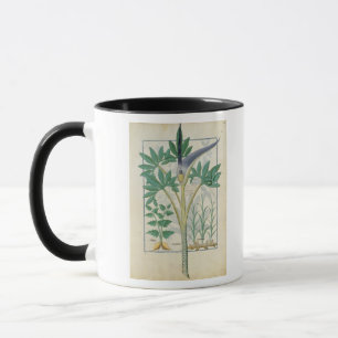 Tasse Orchidée