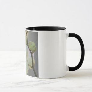 Tasse Orchidée de Sogni D'oro (rêves doux)