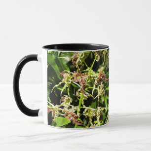 Tasse Orchidées