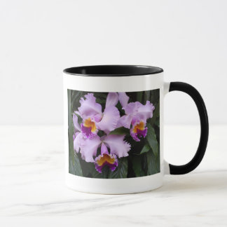 Tasse Orchidées 46