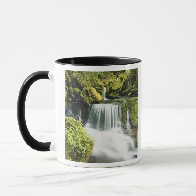 Tasse Oregon, Cascade dans le parc national Willamette (Gauche)
