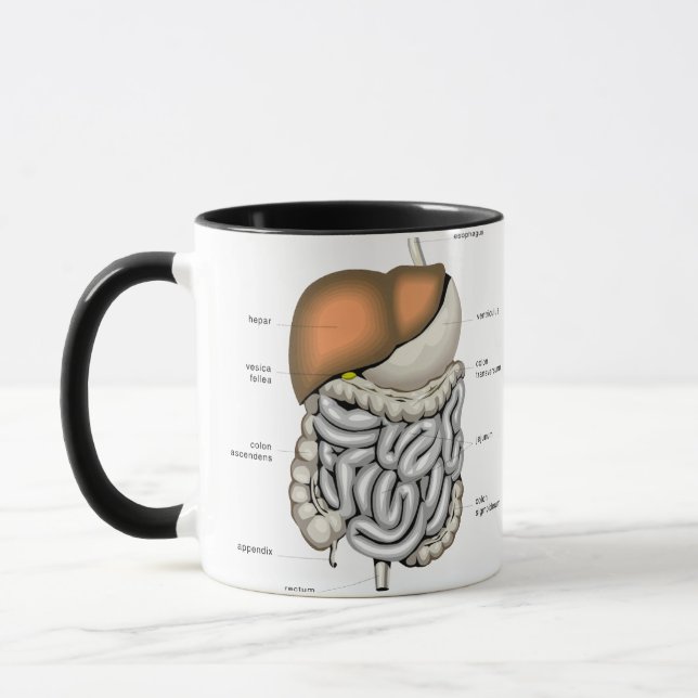 Tasse Organes digestifs (Gauche)