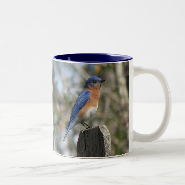Tasse orientale de mâle d'oiseau bleu (Droit)