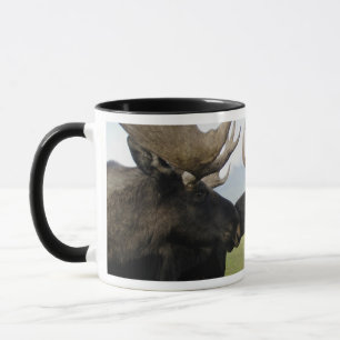 Tasse Orignaux
