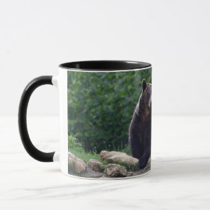 Tasse Ours Brown