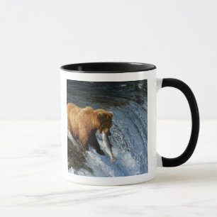 Tasse Ours brun d'Alaska attrapant du saumon à Brooks
