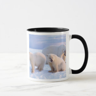 Tasse Ours polaire femelle avec des oursons sur la banqu