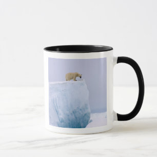 Tasse ours polaire, Ursus maritimus