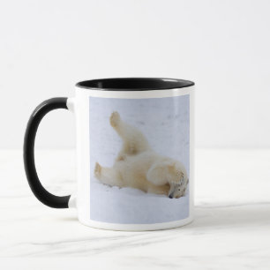 Tasse ours polaire, Ursus maritimus, ourson roulant