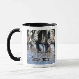 Tasse paires turquoises Rouge-affichées