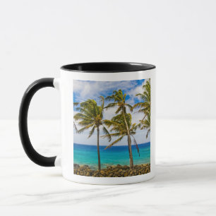 Tasse Palmiers à noix de coco (Cocos nucifera) se balanç