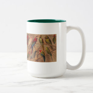 Tasse, Papageien reichlich Zweifarbige Tasse