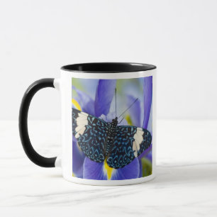 Tasse Papillon tropical violet iris
